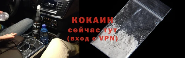 винт Абаза