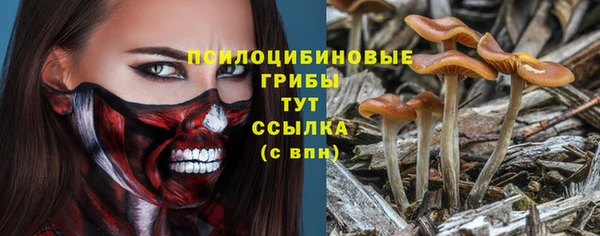 экстази Алексеевка