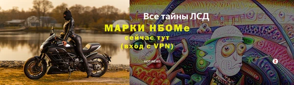 ГАЛЛЮЦИНОГЕННЫЕ ГРИБЫ Алзамай