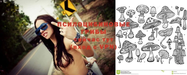 стафф Алексин