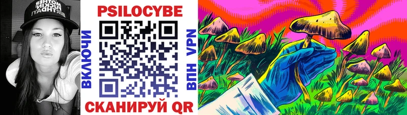 купить наркотик  Мыски  Галлюциногенные грибы Psilocybine cubensis 