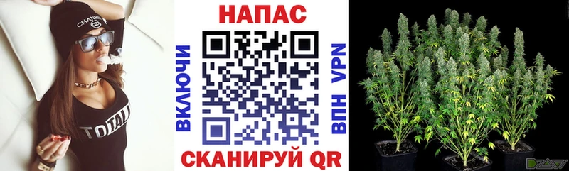 купить  сайты  Мыски  мега   Марихуана тримм 
